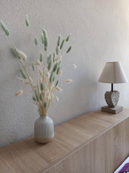 Appartement Cosy Au Coeur Du Mercantour فالديبلور المظهر الخارجي الصورة